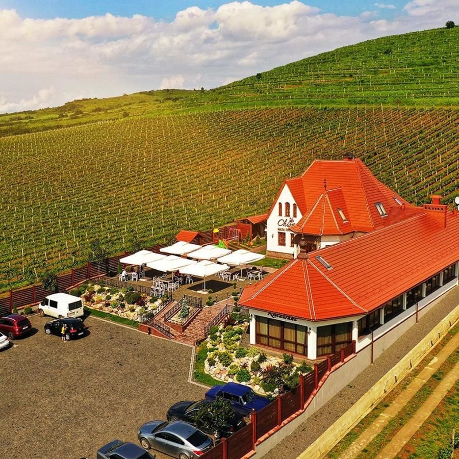 Мини-отель Chizay. Мала Гора Берегово-5