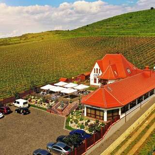 Мини-отель Chizay. Мала Гора Берегово-1