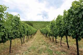 Мини-отель Chizay. Мала Гора Берегово-2